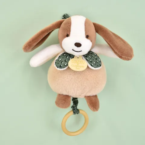 Doudou et Compagnie Boite a musique bebe - Chien marron et vert - 20 cm> Boîte À Musique