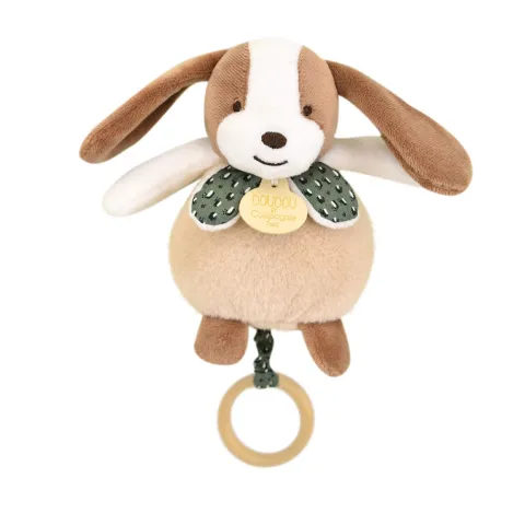 Doudou et Compagnie Boite a musique bebe - Chien marron et vert - 20 cm> Boîte À Musique