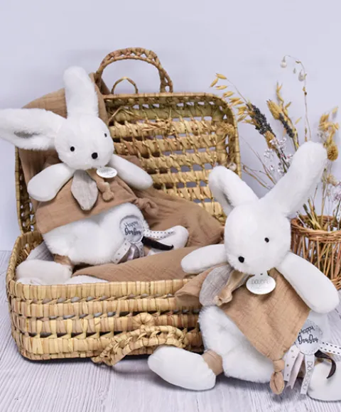 Doudou et Compagnie Coffret Doudou plat Lapin beige - Happy Wild - 25 cm> Doudou Plat