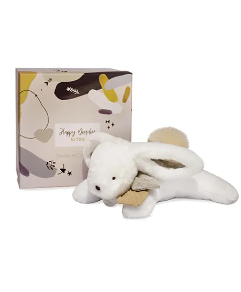 Doudou et Compagnie Coffret Pantin Lapin beige - Happy Wild - 25 cm> Peluches