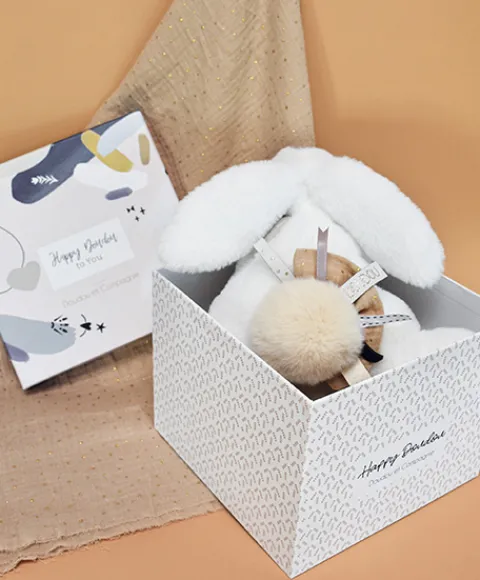 Doudou et Compagnie Coffret Pantin Lapin beige - Happy Wild - 25 cm> Peluches