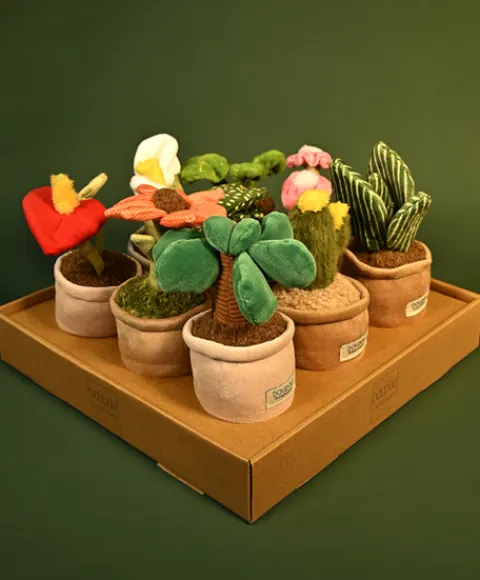 Doudou et Compagnie Peluche fleur - 9 cm - Botanique - Cactus Vert> Peluche Adulte|Peluches