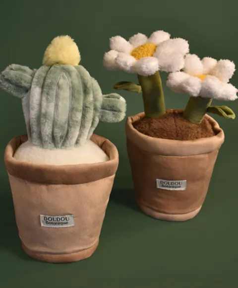 Doudou et Compagnie Peluche fleur- Cactus vert 25 cm> Peluche Adulte|Peluches