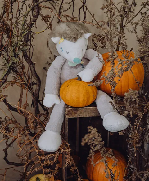 Doudou et Compagnie Peluche géante Hérisson gris Tiwipi - 60 cm> Peluches Géantes|Peluches