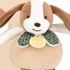 Doudou et Compagnie Boite a musique bebe - Chien marron et vert - 20 cm