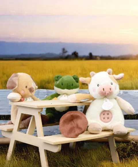 Doudou et Compagnie Peluche grenouille - 17 cm - DOUDOU de la ferme avec boite sonore